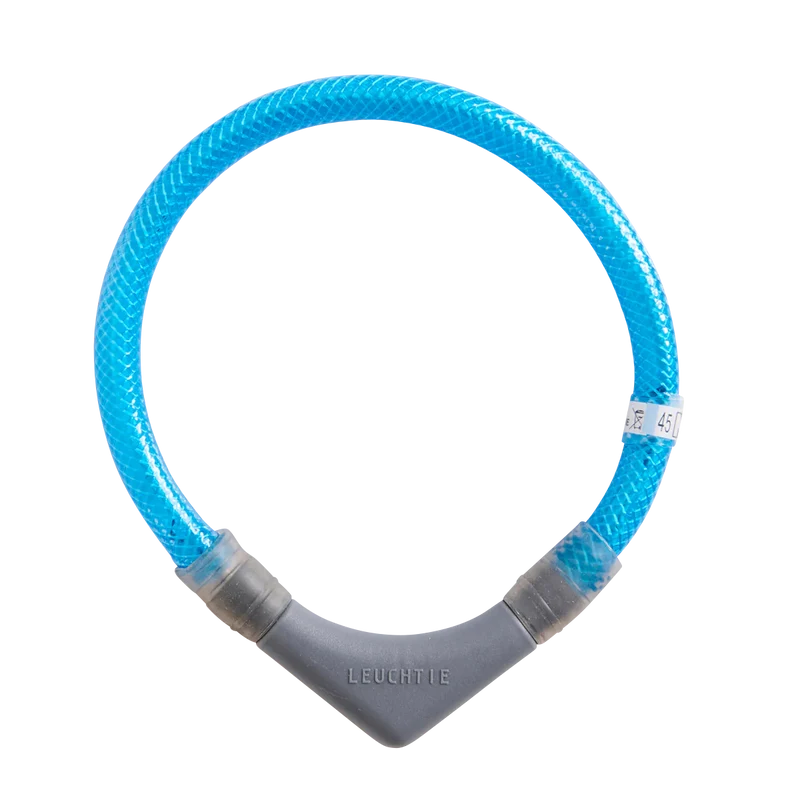 Hundehalsband Leuchtie® Plus Eisblau