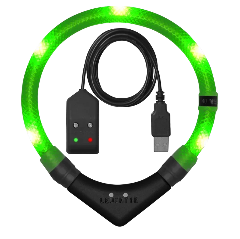 Hundehalsband aufladbar Leuchtie® Premium Neongrün