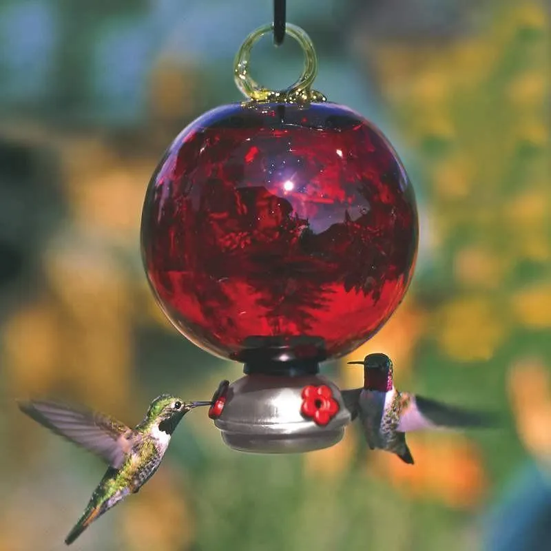 Ruby Red Dewdrop Glass Hummingbird Feeder
