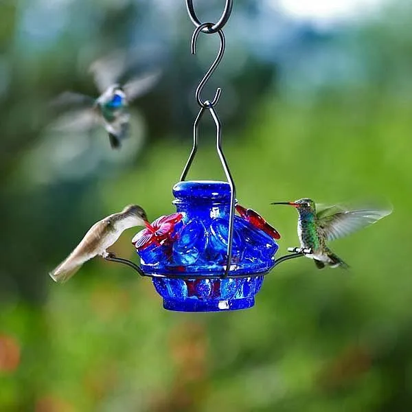 Pot de Creme Moon & Stars Hummingbird Feeder