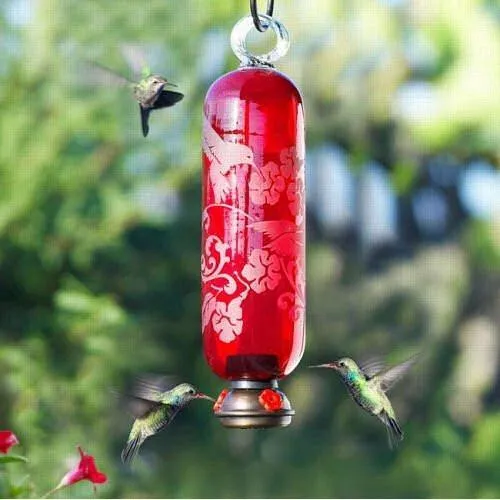 Filigree Glass Hummingbird Feeder - Flame Red