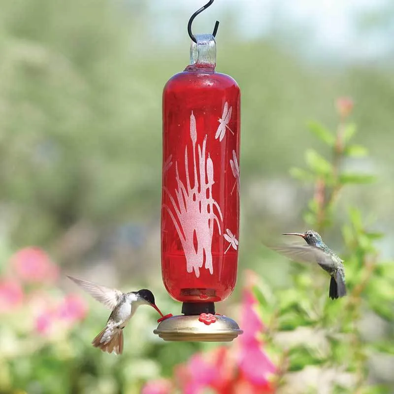 Dragonfly Filigree Glass Hummingbird Feeder - Flame Red