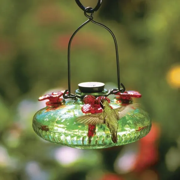 Green Bloom Glass Hummingbird Feeder