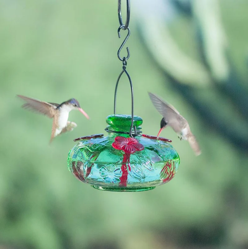 Green Bloom Calliope Hummingbird Feeder