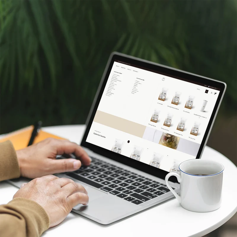 Shopify ADA Compliance Audit - WCAG 2.1 Accessibility Testing
