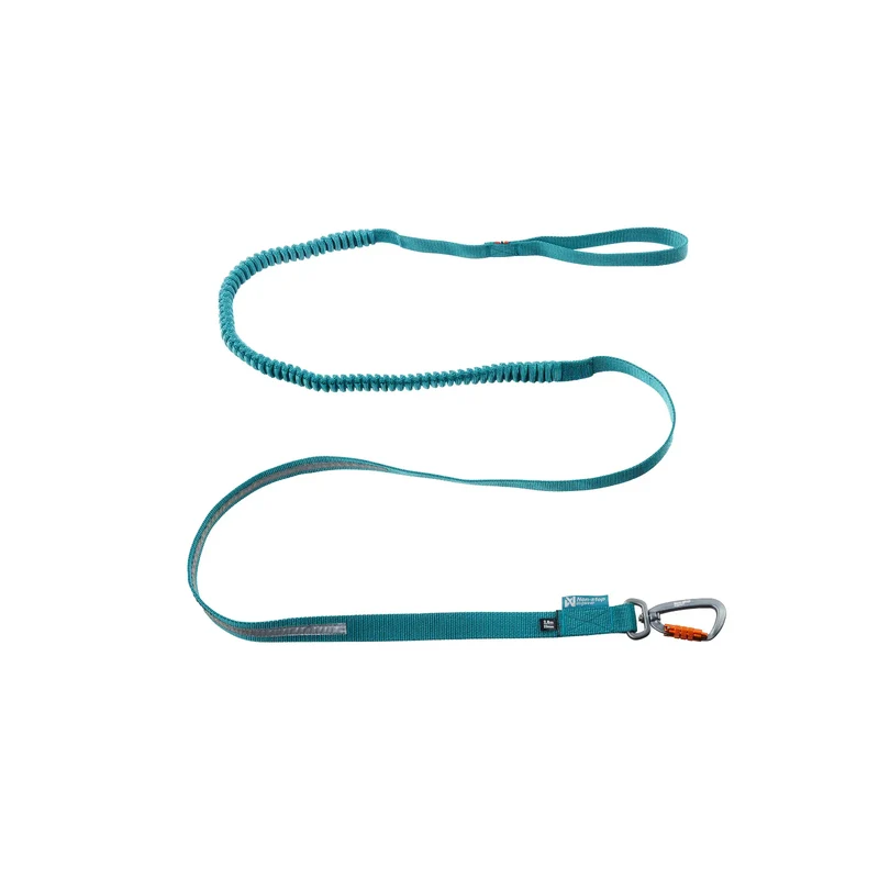Touring Bungee Leash