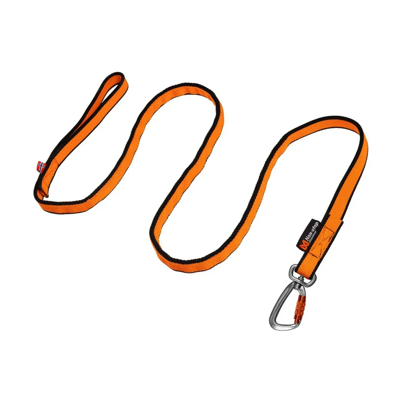Bungee leash