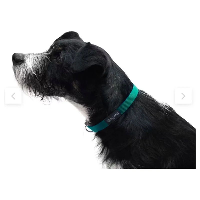 Dogma Hundehalsband Little Navy-16mm