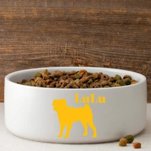 Man's Best Friend Personalized Large Dog Bowl