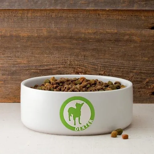Circle of Love Personalized Small Dog Bowl