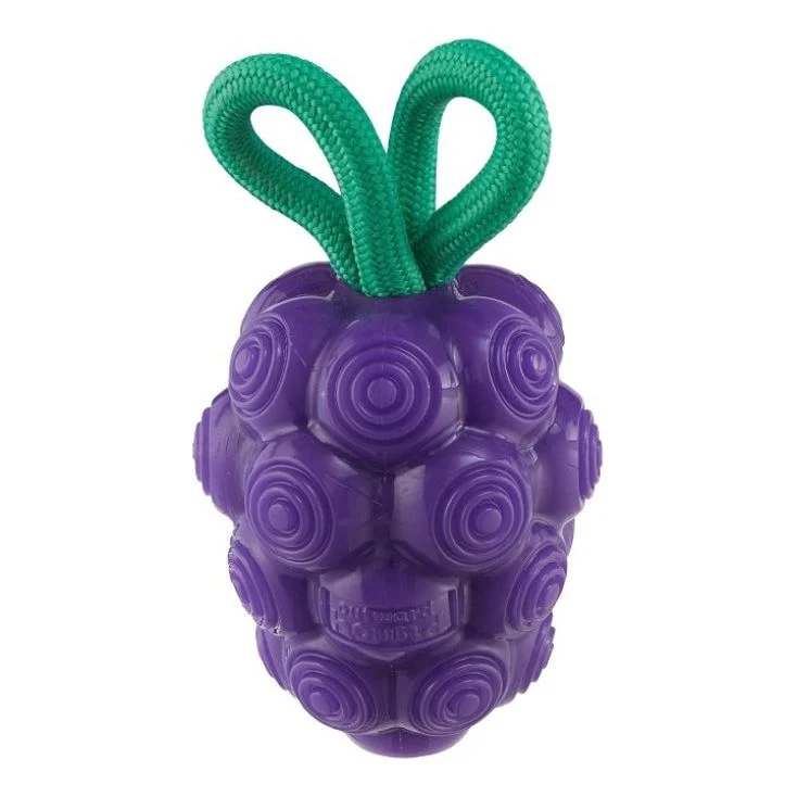 Dental Grapes Purple