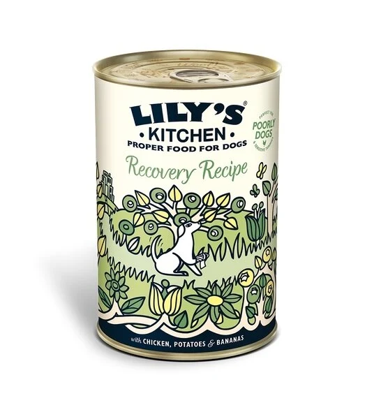Expiry Date 14-Nov-26 Lily's Kitchen Recovery Recipe Wet Dog Food - 400G