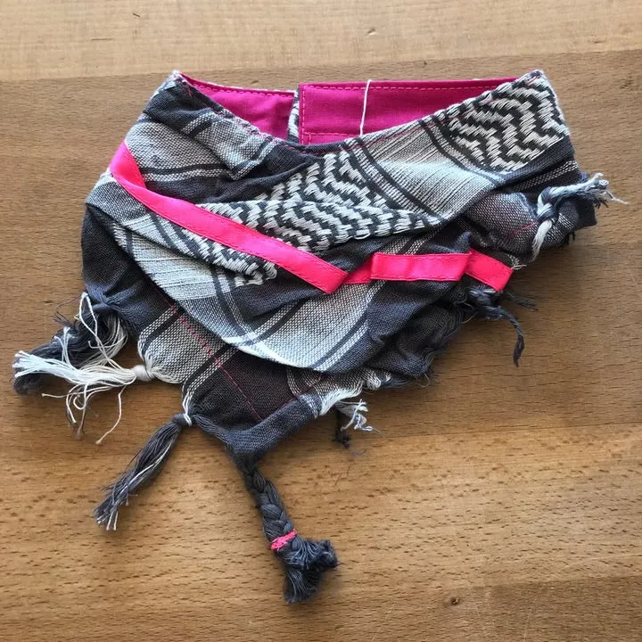 Hundehalstuch