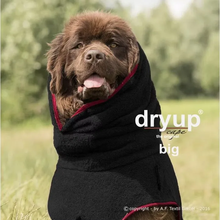 Dryup Cape für große Hunde