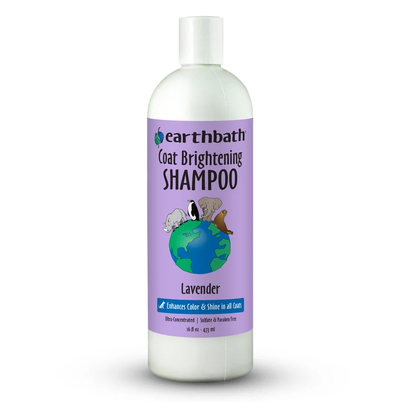 earthbath Coat Brightening Lavender Shampoo for Dogs & Cats 16OZ