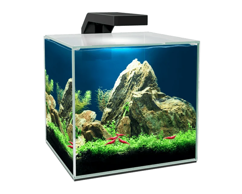 Ciano Cube 10 LED Glass Aquarium 9.5L With Filter