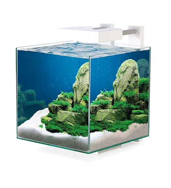 Ciano Nexus Pure 15 Cube Glass Aquarium 14L With LED & Filter