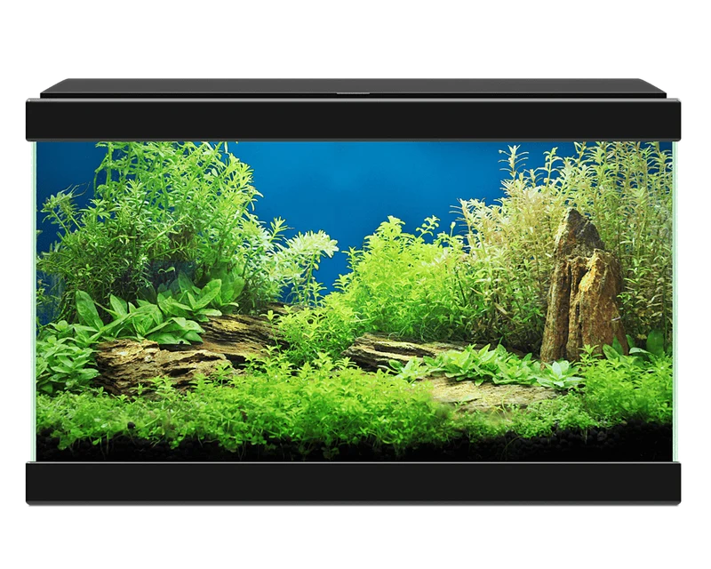 Ciano Aqua 20 Glass Aquarium 17L With LED & Filter