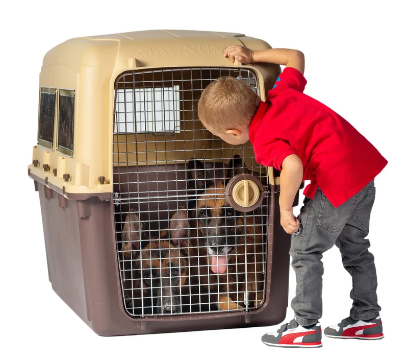 Magnum Airline & IATA Compliant Dog Crate 115x69x85cm