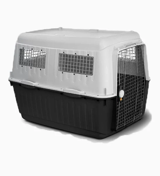 MP Bergamo BRACCO IATA Carrier Dogs & Cats