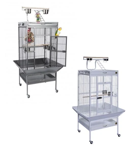 Tropical Bird Greys World Bird Cage