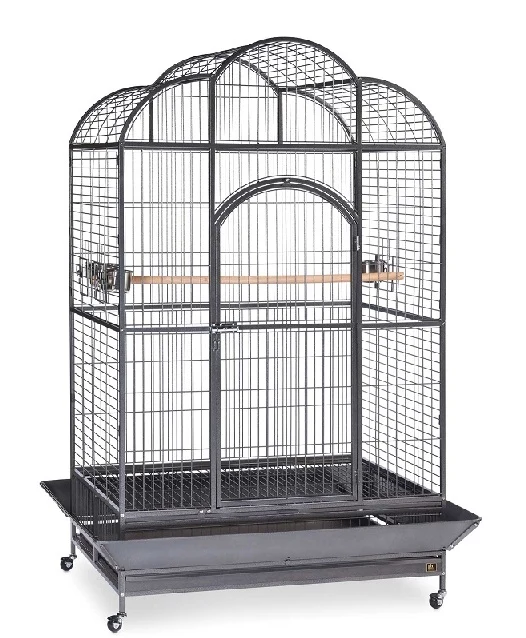 Tropical Bird Macaw Kingdom Bird Cage
