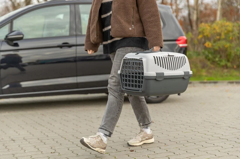 Trixie Capri 3 Pet Carrier for Dogs & Cats 40x38x61cm