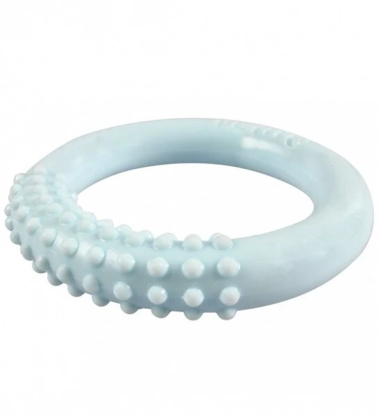 ebi Petit Teething Lola Dental Chew Toy for Dogs