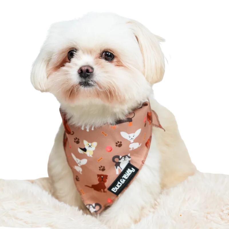 Bud & Billy Dog Park Pals Dog Bandana