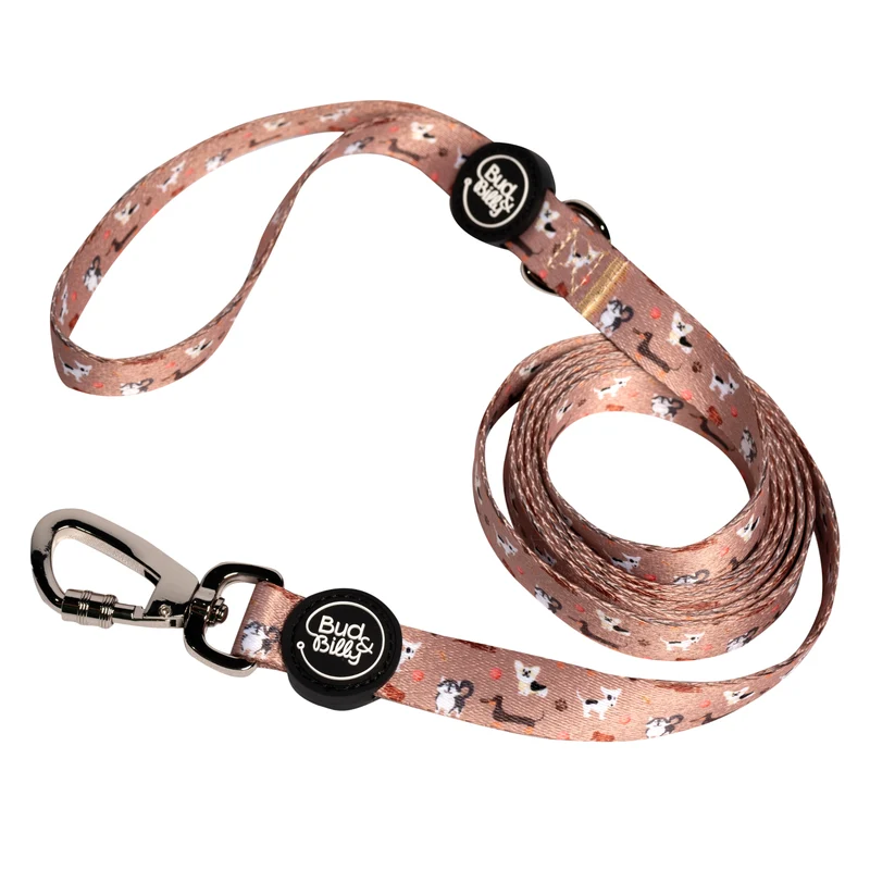 Bud & Billy Dog Park Pals Dog Leash