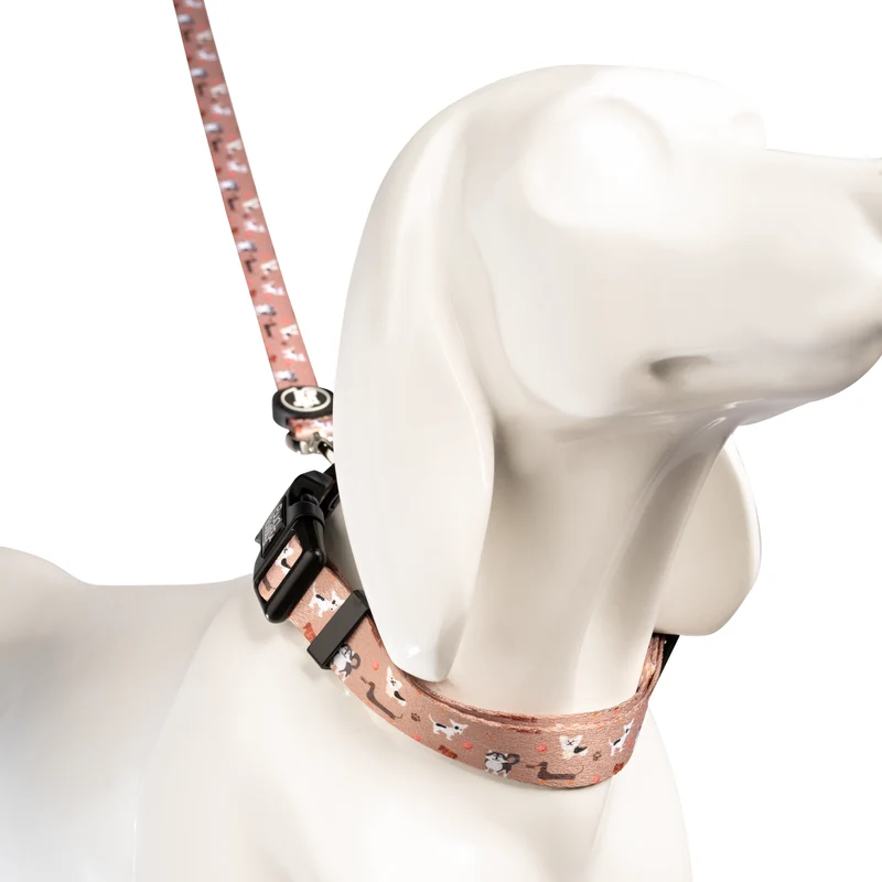 Bud & Billy Dog Park Pals Dog Collar