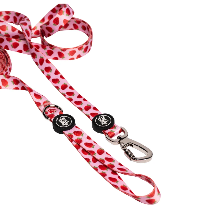 Bud & Billy Pink Berry Pop Dog Leash