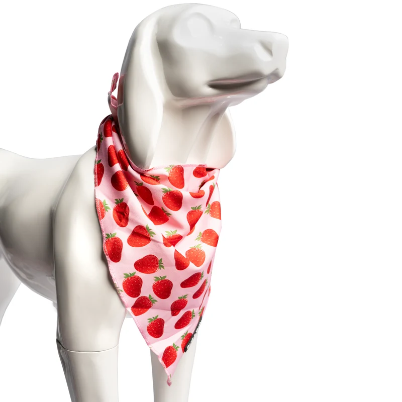 Bud & Billy Pink Berry Pop Dog Bandana