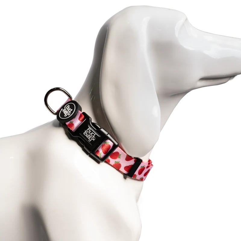 Bud & Billy Pink Berry Pop Dog Collar