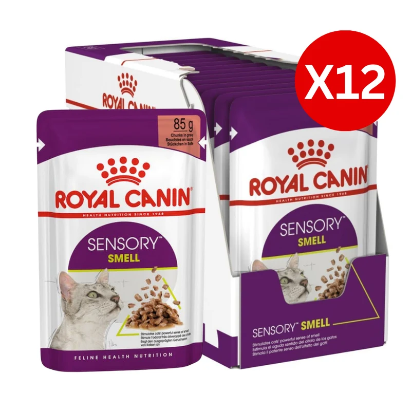 Royal Canin Feline Health Nutrition Sensory Smell Chunks In Gravy Cat Wet Food 85G - Pack of 12