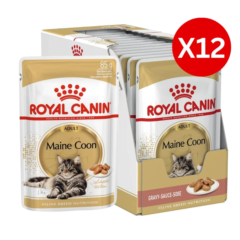 Royal Canin Maine Coon Adult Wet Cat Food 85G - Pack of 12