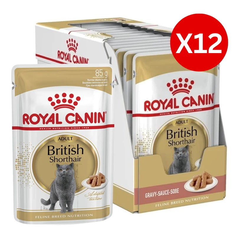 Royal Canin British Shorthair Adult Wet Cat Food 85G - Pack of 12