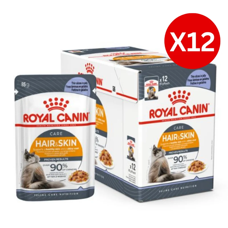 Royal Canin Hair & Skin In Jelly Adult Wet Cat Food 85G - Pack of 12