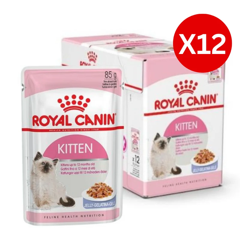 Royal Canin Kitten Instinctive in Jelly Wet Food 85G - Pack of 12