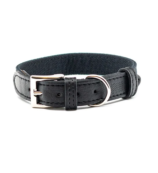 Project Blu Santorini Collar for Dogs