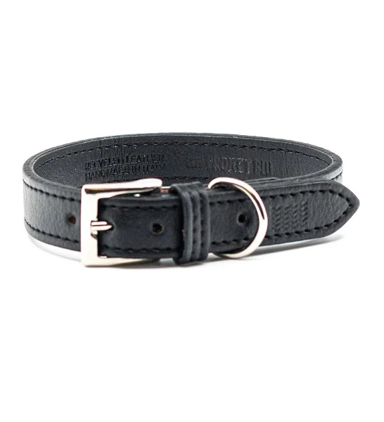 Project Blu Miho Collar for Dogs