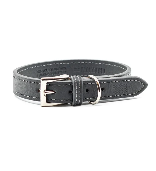 Project Blu Malibu Collar for Dogs