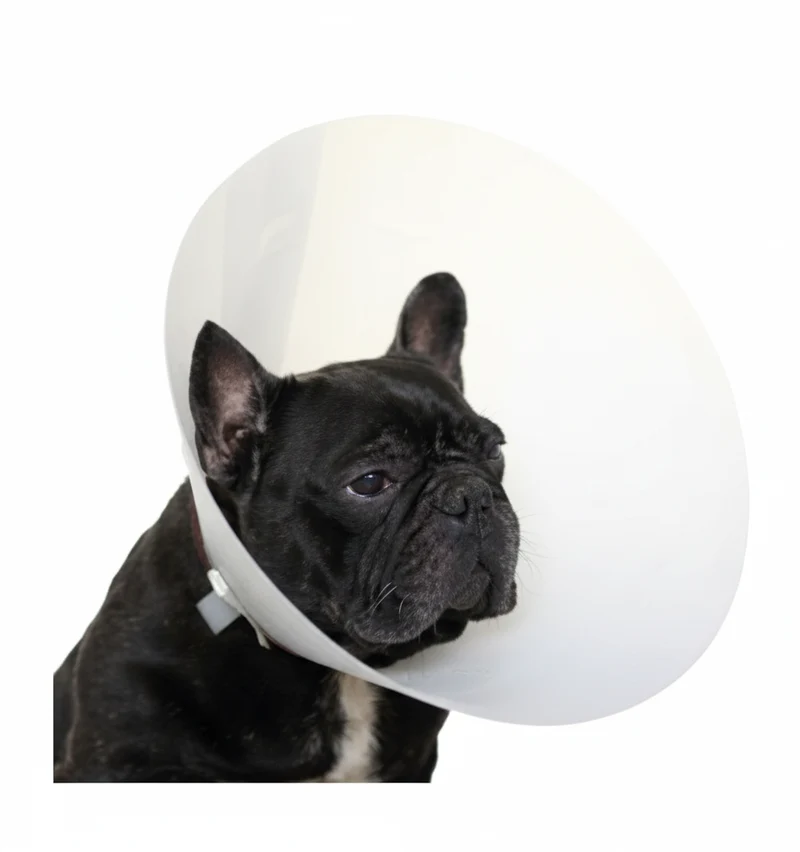 Trixie Protective Collar for Dogs