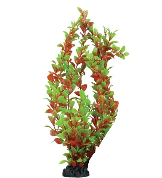 Hugo Kamishi Ludwigia Aquarium Plant Decor