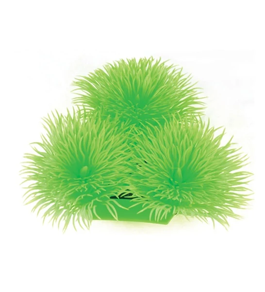 Hugo Kamishi Japonica Aquarium Plant Decor 10cm