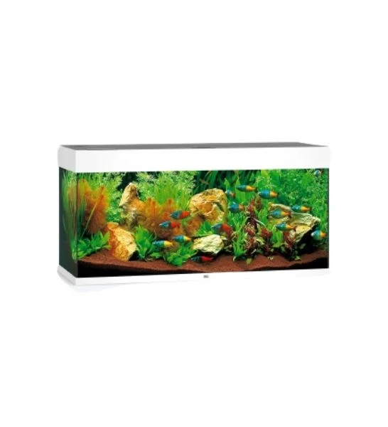 Juwel Rio 180 LED Glass Aquarium 180L With Heater & Filter - Black