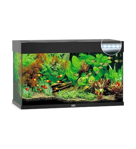 Juwel Rio 125 LED Glass Aquarium 125L With Heater & Filter - Black