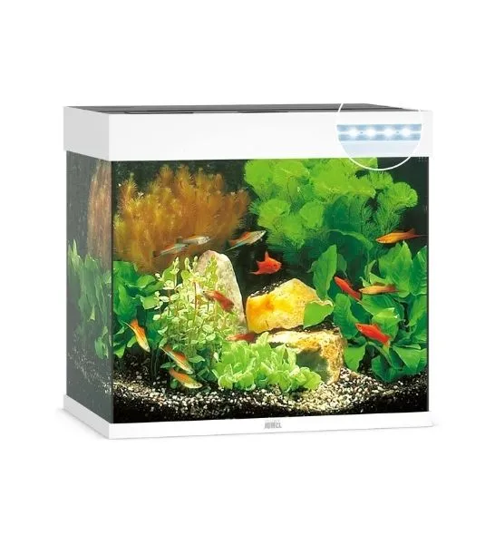 Juwel Lido 120 LED Glass Aquarium With Heater & Filter - White