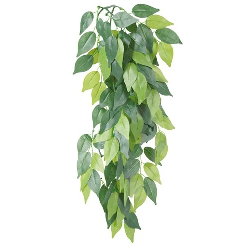 Trixie Silk Plant Ficus