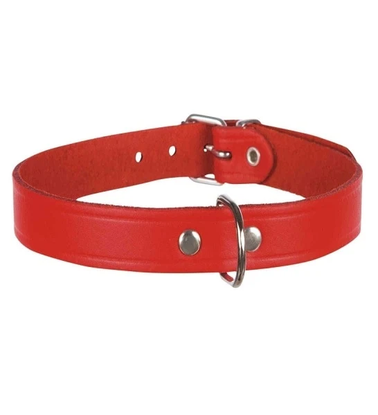 Trixie Basic Leather Collar for Dogs